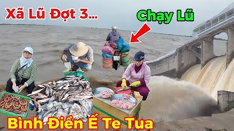 Tới nữa rồi Xả Lũ đợt 3| Chợ Bình Điền nước ngập Cá tôm đổ đóng bán không ai mua Ế chưa từng thấy 
