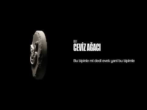 EGE! - CEVİZ AĞACI