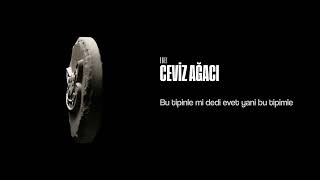 EGE! - CEVİZ AĞACI