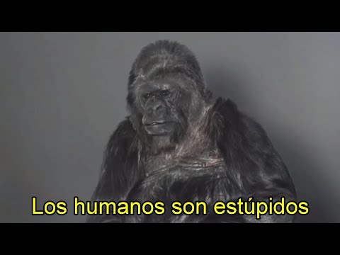 Vídeo: ¿Pueden Los Monos Hablar Como Humanos? - Vista Alternativa