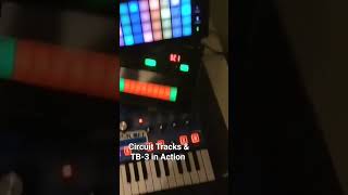 CIRCUIT TRACKS & TB-3 | DAWLESS TECHNO 🔈#shorts
CIRCUIT TRACKS & TB-3 | DAWLESS TECHNO 🔈#shorts CIRCUIT TRACKS & TB-3 | DAWLESS TECHNO 🔈#shorts
