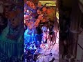 Halloween Tree Lighting onboard the Disney Dream. Halloween on Disney Cruise Line is the best!