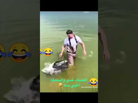 الصياد غبي و سمكة اغبى منه 