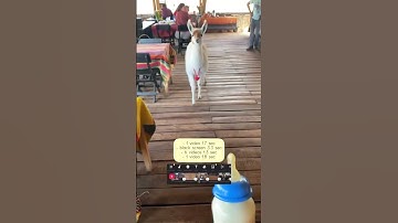 Tutorial - Can we skip to the good part via johnzimmer__ tiktok