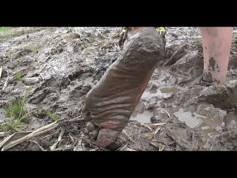 Mianmian went barefoot to the rice paddies, getting her feet covered in wet and sticky mud