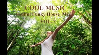 Soulful Funky House  Mix VOL  7
