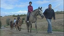 Journée du cheval au centre Hippo'these (Montgiscard)