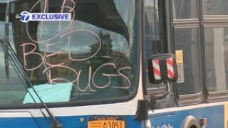 Some MTA buses out of service due to bed bug concerns
