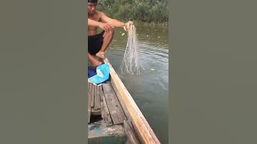 thả lưới bắt cá to #shorts  #1