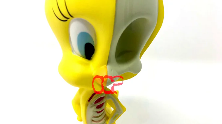 XXRay Looney Tunes Tweety Bird by Jason Freeny