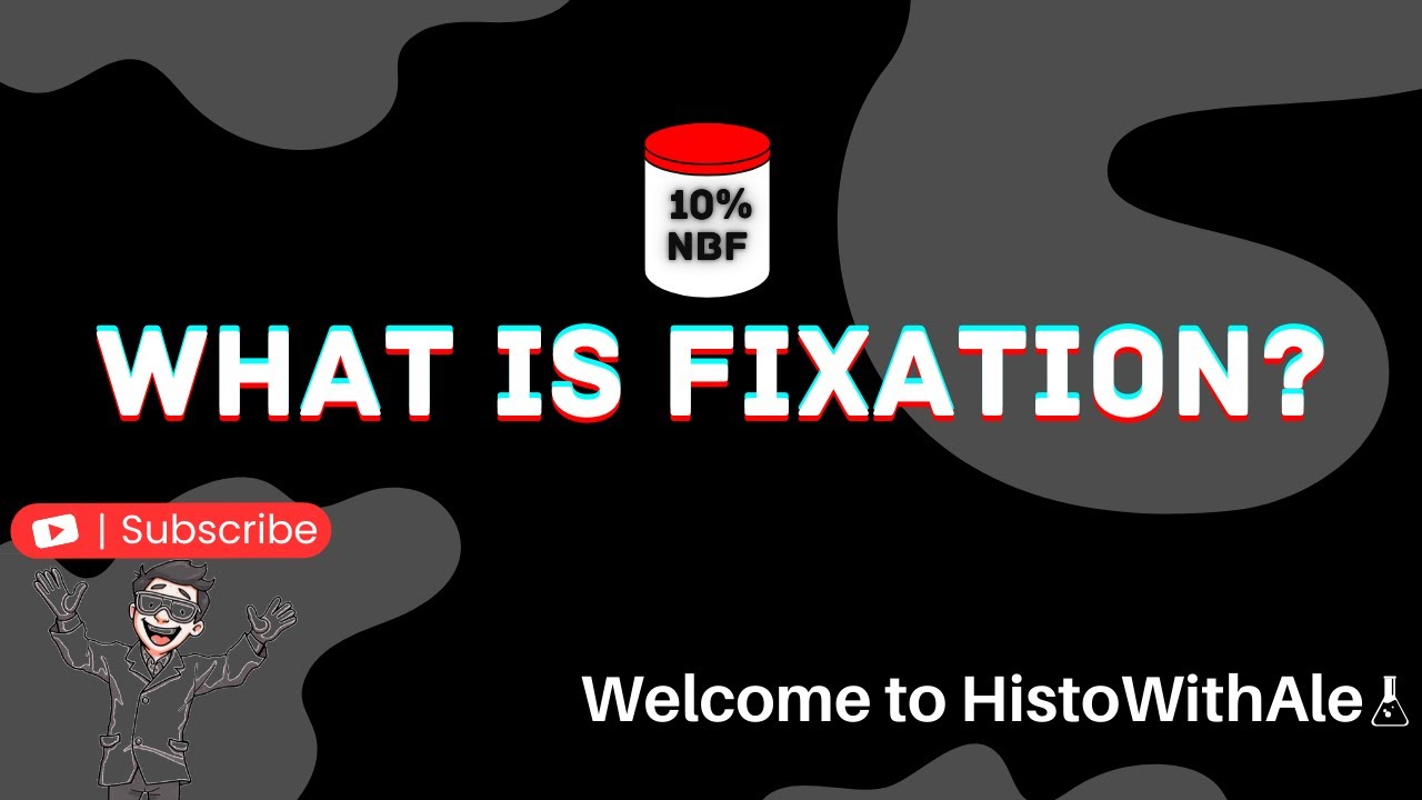 What is Fixation? (Histology)