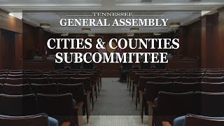 House Cities & Counties Subcommittee- January 24, 2024- House Hearing Room 2