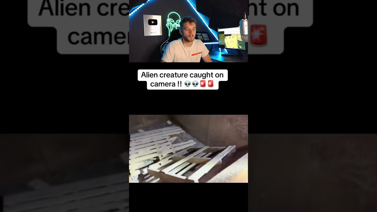 Aline creatures caught on camera 👽