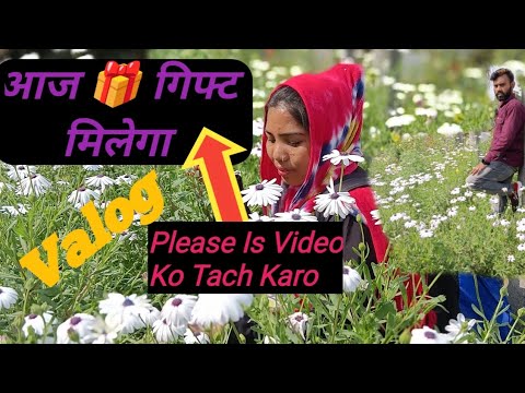 youtube gifts for 100 subscribers,🎁🎁🎁Rishbh Kumar Nirala RSB