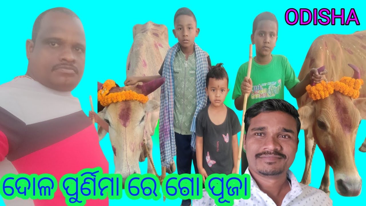 Dolapurnima, ଦୋଳପୁର୍ଣିମା ରେ ଗୋ ପୂଜା ସହିତ  ଗାଇ, ମେଣ୍ଡା ମାନଙ୍କୁ ଗାଧୁୟା ହେଲା ଭୋଗ ସହିତ ପୂଜାଛନା ହେଲା 