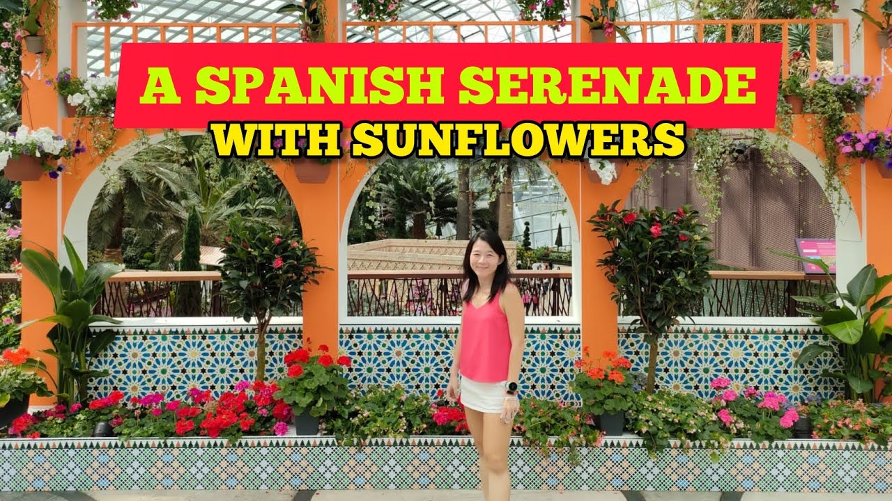 A Spanish Serenade with Sunflowers Gardens by the Bay YouTube