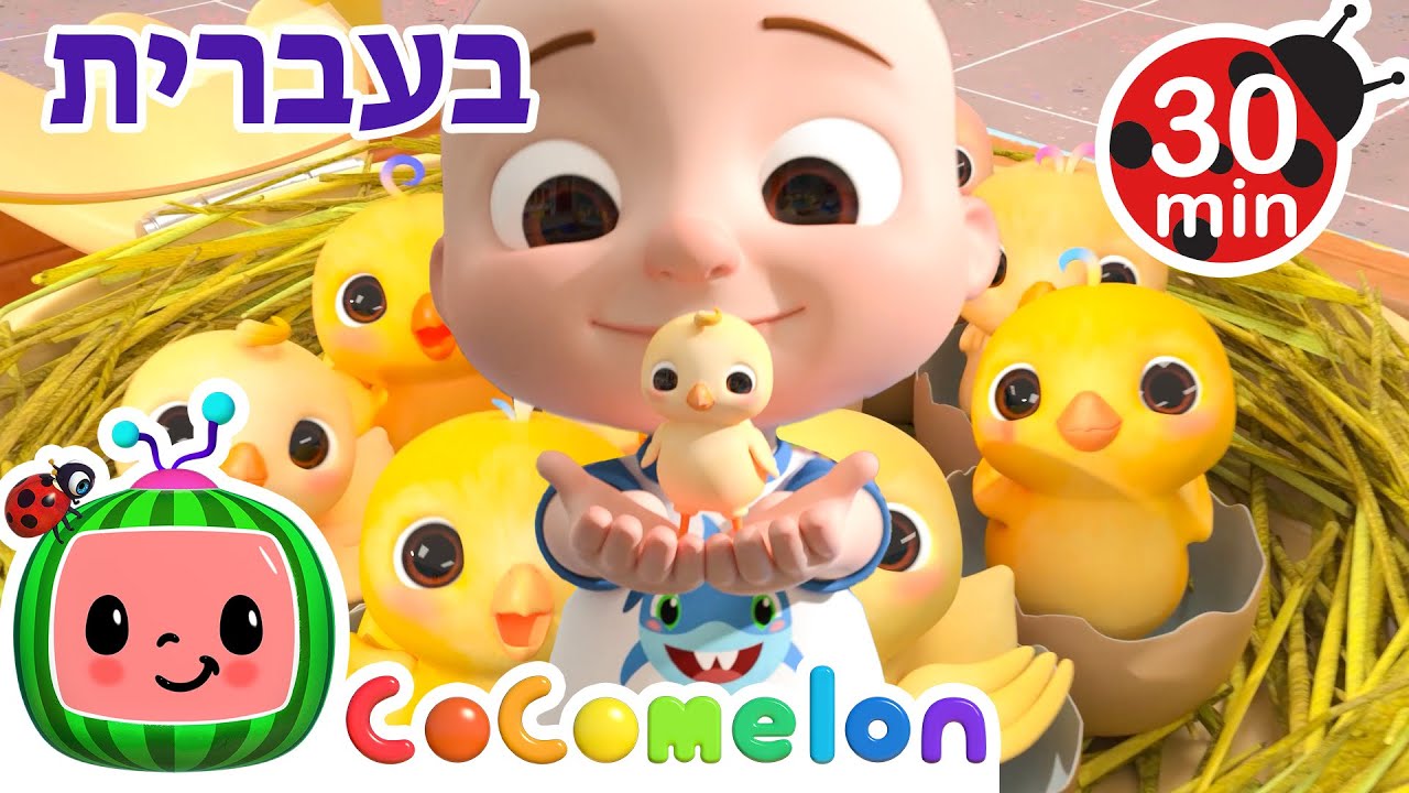 שיר המספרים עם אפרוחים קטנים | שירי ערש לתינוקות | CoComelon - קוקומלון בעברית