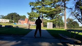 isshinryu upper body technique