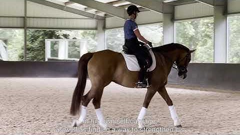 Improving Self Carriage & Posture with Ivar Sneak Peek