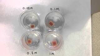 Diffusion Agar Jelly and Acid