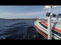 Inflatable dinghy sailing/На надувнушке под парусом