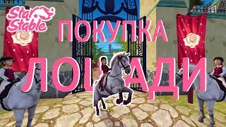 ПОКУПКА ЛОШАДИ №2 | Star Stable Online | Liza Star ПОКУПКА ЛОШАДИ №2 | Star Stable Online | Liza Star