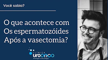 Como fica o saco após a vasectomia?