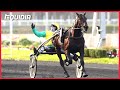 Vivid wise as avec classe  prix de france speed race 2022  vincennes  groupe 1