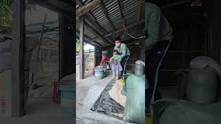 Out Of The Siren And Smoke