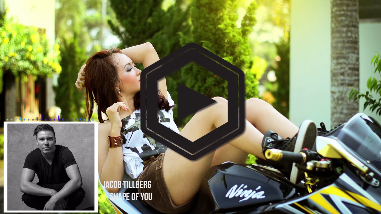 Shape Of You - Jacob Tillberg [No Copyright Music]
