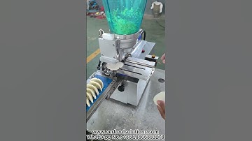 VERFOODSOLUTIONS Gyoza Wrapper And Dumpling Gyoza Folding Machine Test Before Delivery