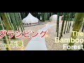 グランピング  in 千葉【The Bamboo Forest】 2020