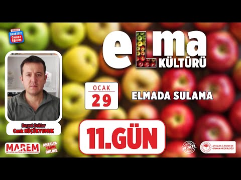 Video: Tatlı On Altı Elma Bilgisi – Tatlı On Altı Elma Yetiştirme Koşulları Hakkında Bilgi Edinin