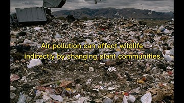 GROUP 4 VIDEO PRESENTATION IN SCIENCE 9 (PERFORMANCE TASK)WEEK 8