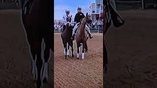 Preakness, who do you like to win in this one50 years? Edition.crtc 20250517 4