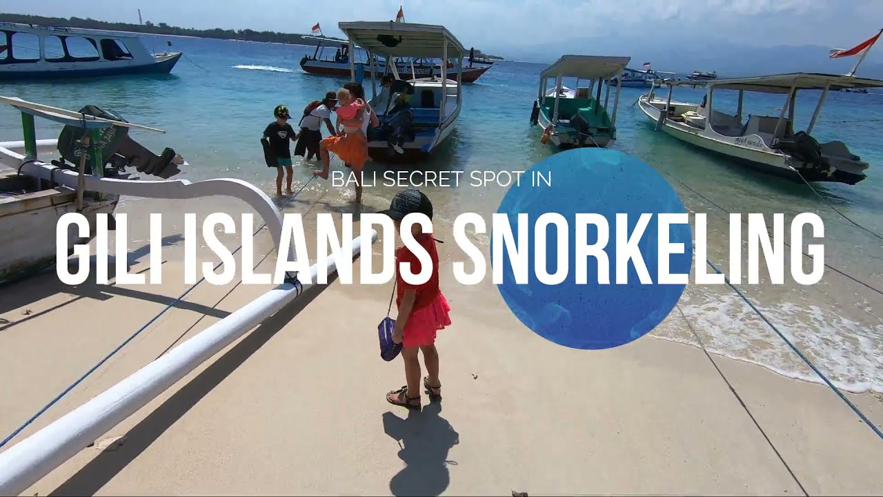 Gili Islands Snorkeling Tour (BEST Experience Indonesia Bali!) YouTube