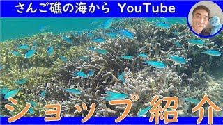 【ショップ紹介】シュノーケル、グラスボートツアーさんご礁の海からショップPR動画
