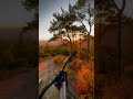 EPIC SUNSET DH SESSION!! 🔥#shorts #mtb #bikelife #downhill