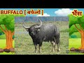 Domestic animals name Hindi & English | पालतू जानवरों के नाम | Animal names song[ HINDI]