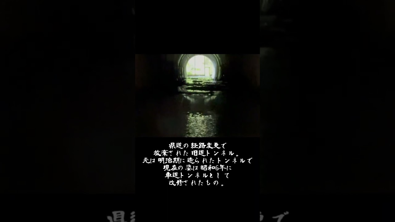 静岡県道249号旧道 風吹隧道 #廃道 #隧道 #shorts