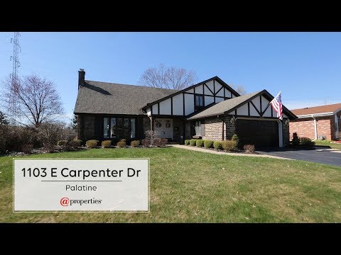 1103 E Carpenter Drive, Palatine, IL home video tour