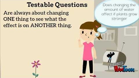 Testable Questions Review