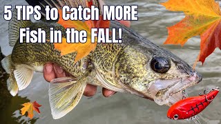5 Things About Fall Fishing I Wish I Had Learned SOONER!
