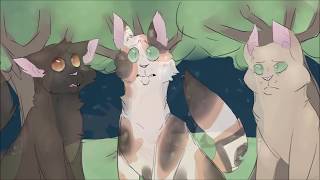 Mapleshade's Kits- Warriors Speedpaint