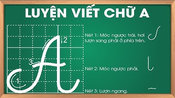 Hướng dẫn viết chữ A hoa cỡ lớn | Luyện viết chữ hoa
