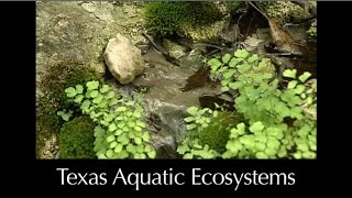 Aquatic Ecosystems Summary Overview - L6.0 CCE
