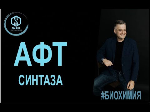 Биохимия: АТФ синтаза