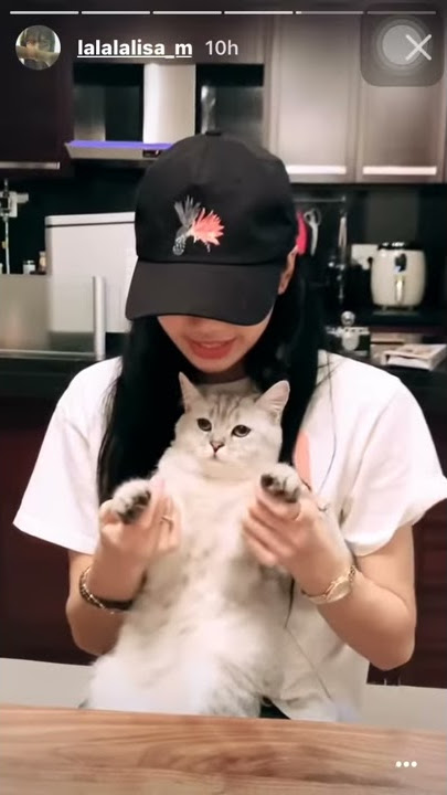 LISA DANCE WITH HER CAT LEO ON HER 23rd BIRTHDAY (Ddu-du Ddu-du x Kill This Love x Boombayah)