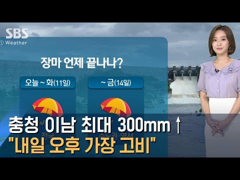 [<strong>날씨</strong>] 충청 이남 최대 300mm↑…<strong>다음</strong> 주까지 장맛비 / SBS