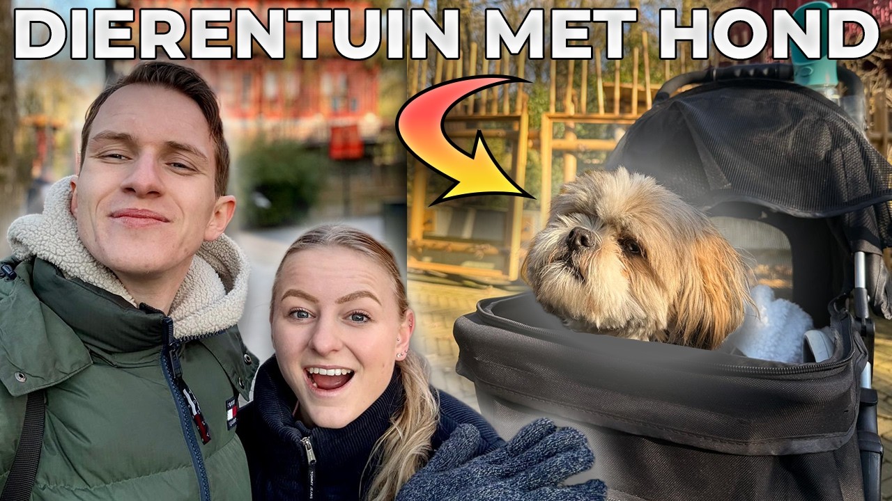 Ouwehands Dierenpark deze dierentuin kun je bezoeken met een hond?!